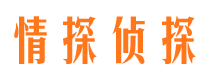 调兵山侦探公司